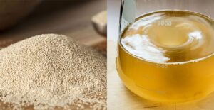 Tiantai beer equipment yeast