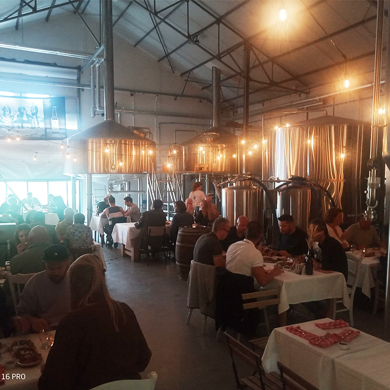 500L Craft Brewpub