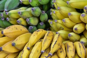 bananas brewing beer