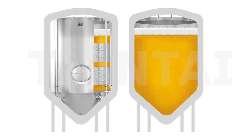 beer fermentation process in fermenter